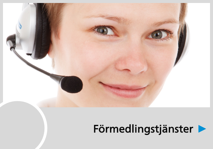 Förmedlingsstjänster