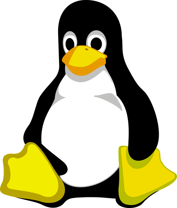 linux